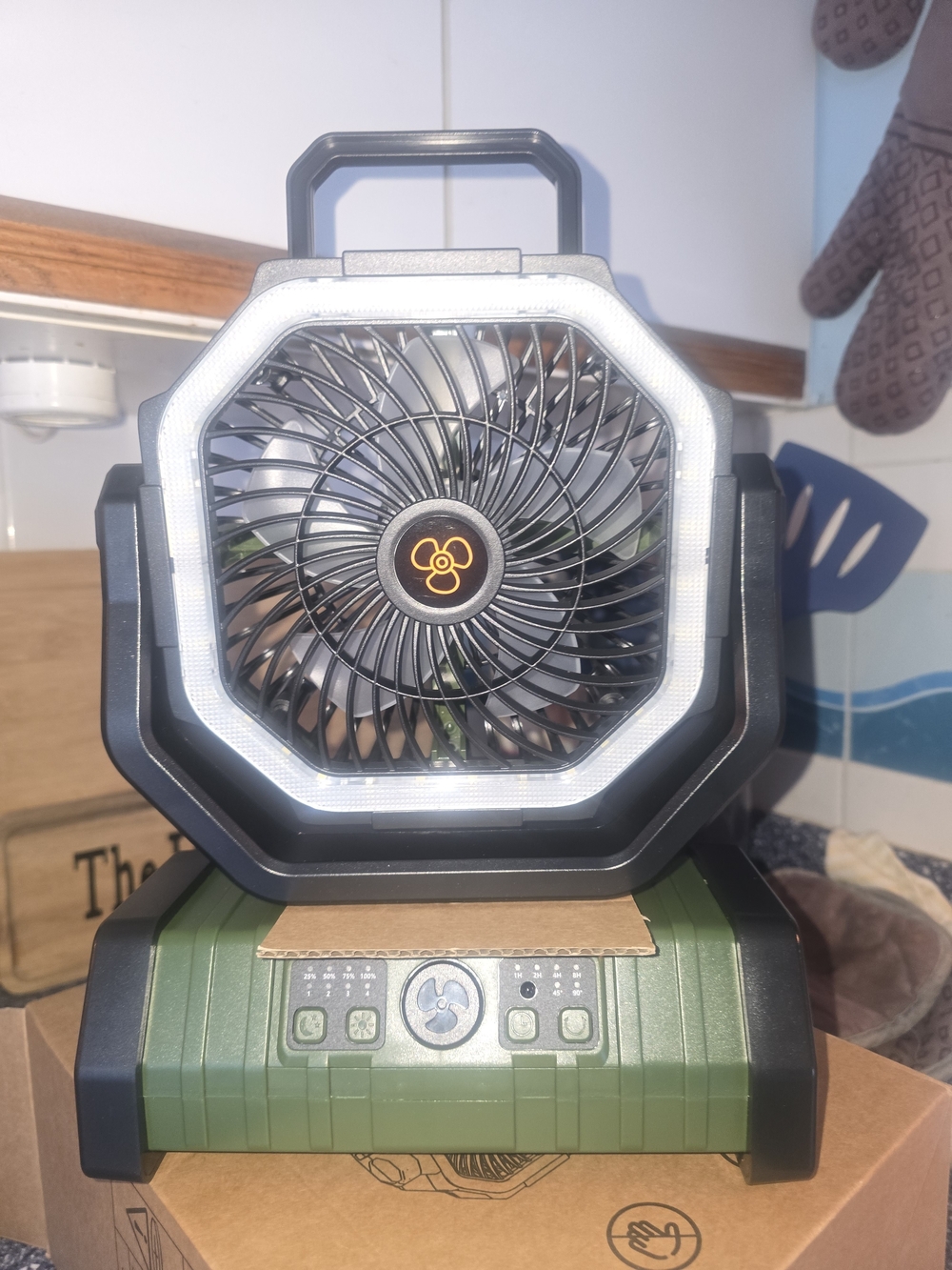 F6 Outdoor Fan in Green & Black Like New